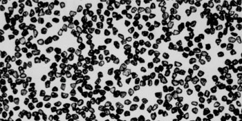 专用金刚石微粉wder for PCD Synthesis